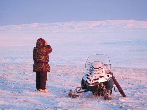 John Lucas Jr. Polar Bear Harvest