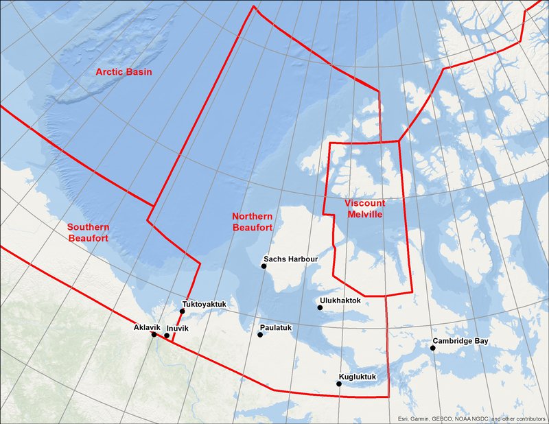 ISR Polar Bear Subpopulation boundaries