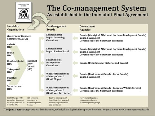 Co-Management Tree